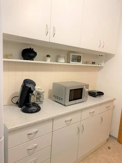 Charmante Wohnung In St. Peter. Graz Apartment
